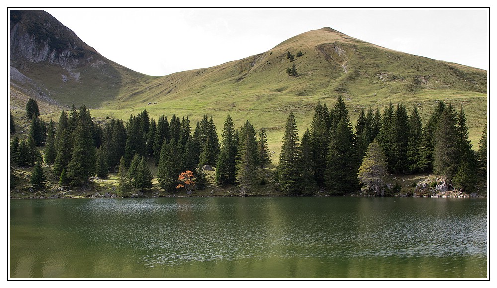 Gantrischsee im Herbst