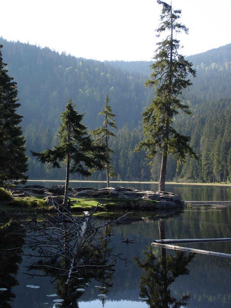 Ganz allein am Großen Arbersee