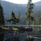 Ganz allein am Großen Arbersee