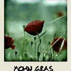 Ganz banal Mohn