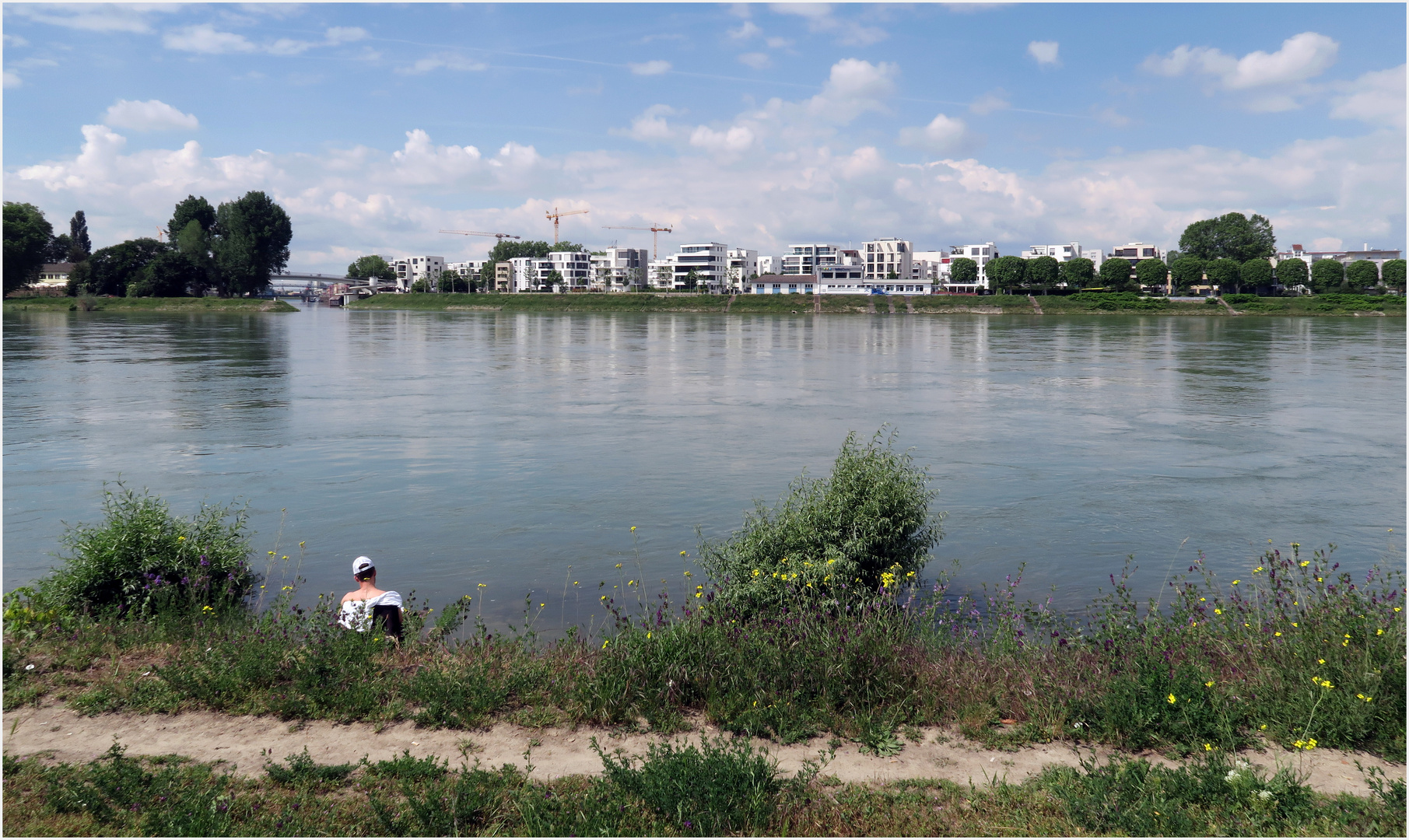 Ganz entspannt am Rhein