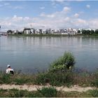 Ganz entspannt am Rhein