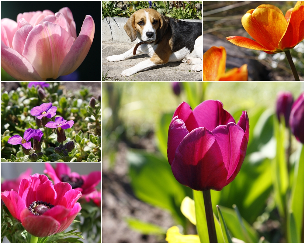 Ganz entspannt den Frühling geniessen