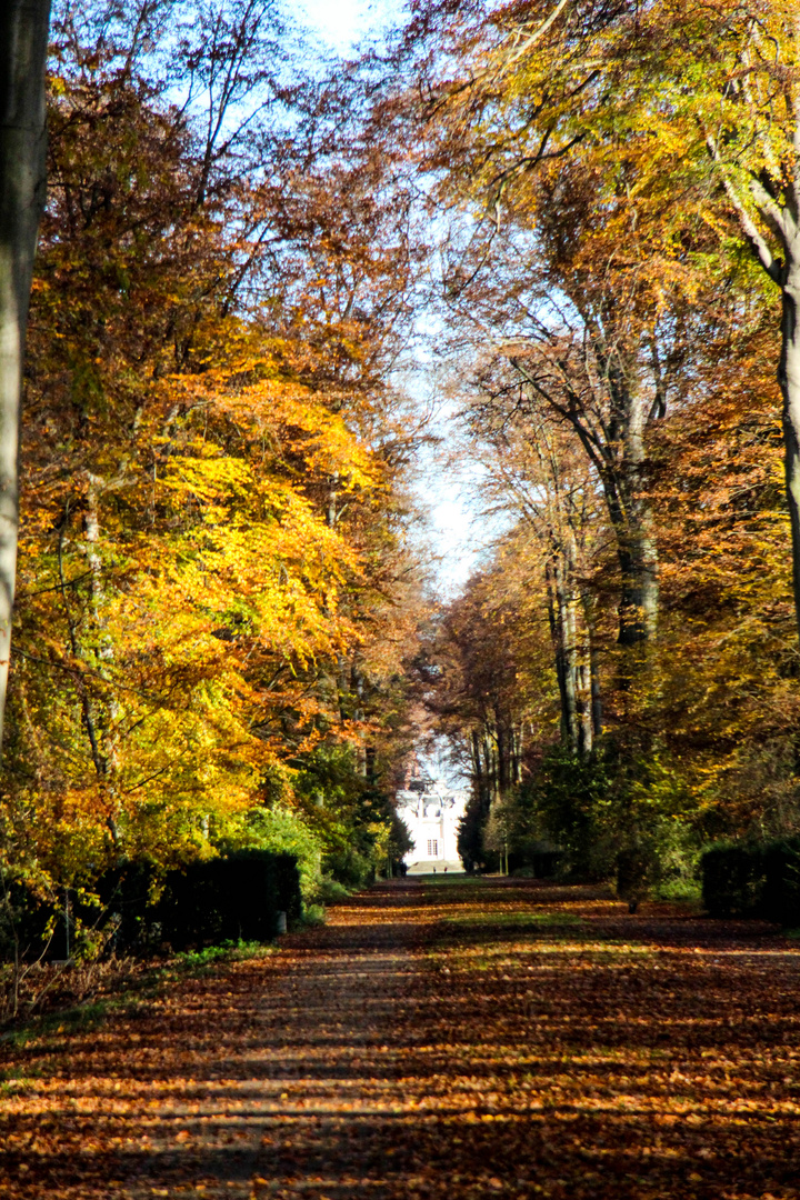 ganz frisch aus dem Benrather Schloßpark