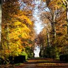 ganz frisch aus dem Benrather Schloßpark