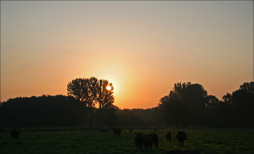 Ganz früh am Morgen