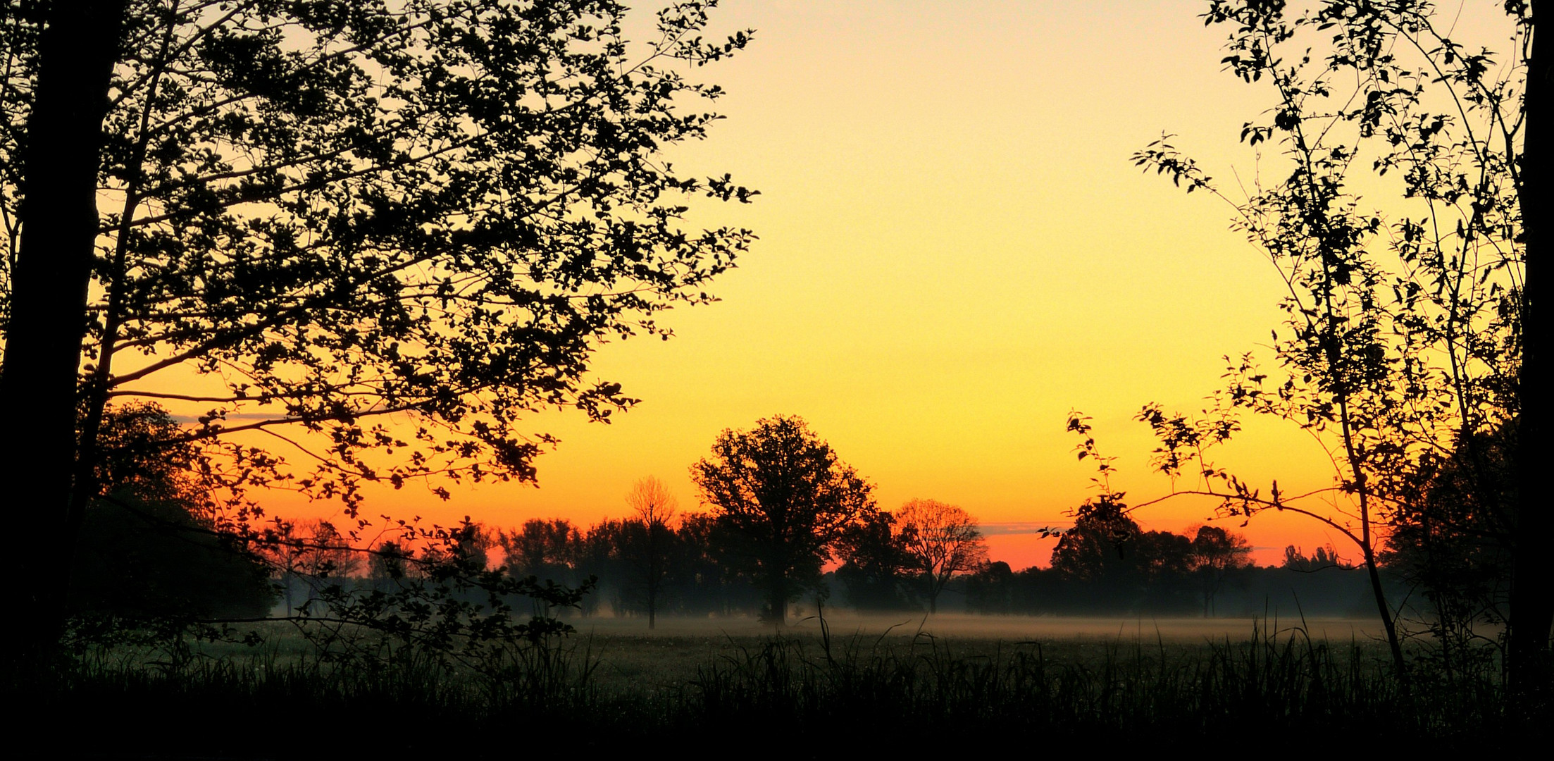 Ganz früh am Morgen