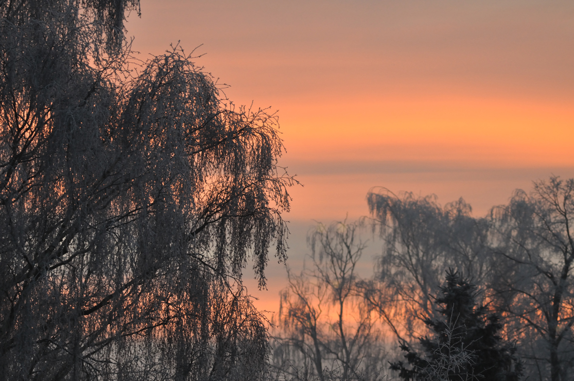 ganz früh am Morgen ...