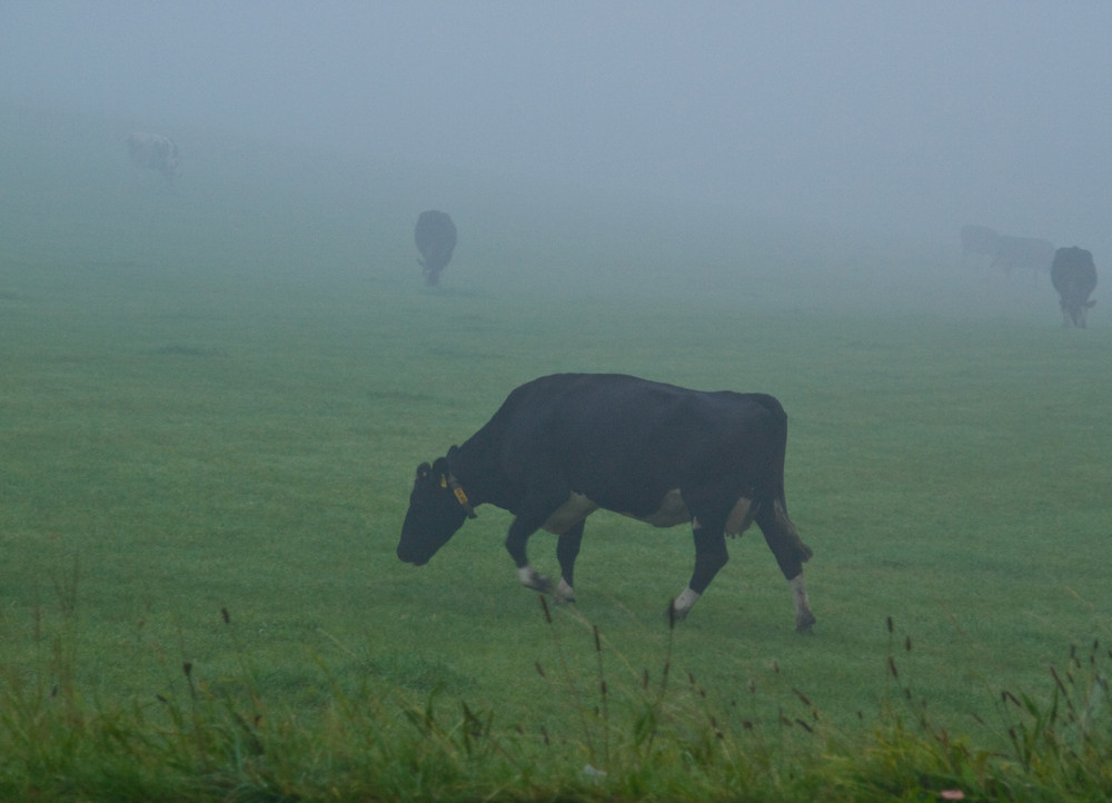 ... ganz früh am Morgen ...