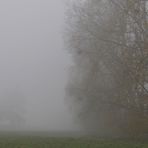 Ganz früh am Morgen bei Nebel …. 05