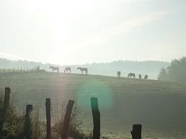 Ganz früh am Morgen