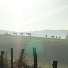 Ganz früh am Morgen