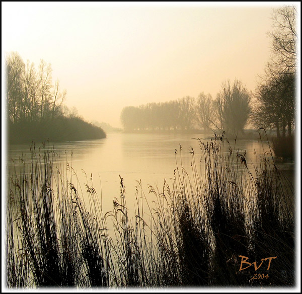 Ganz früh, Biesbosch