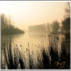 Ganz früh, Biesbosch