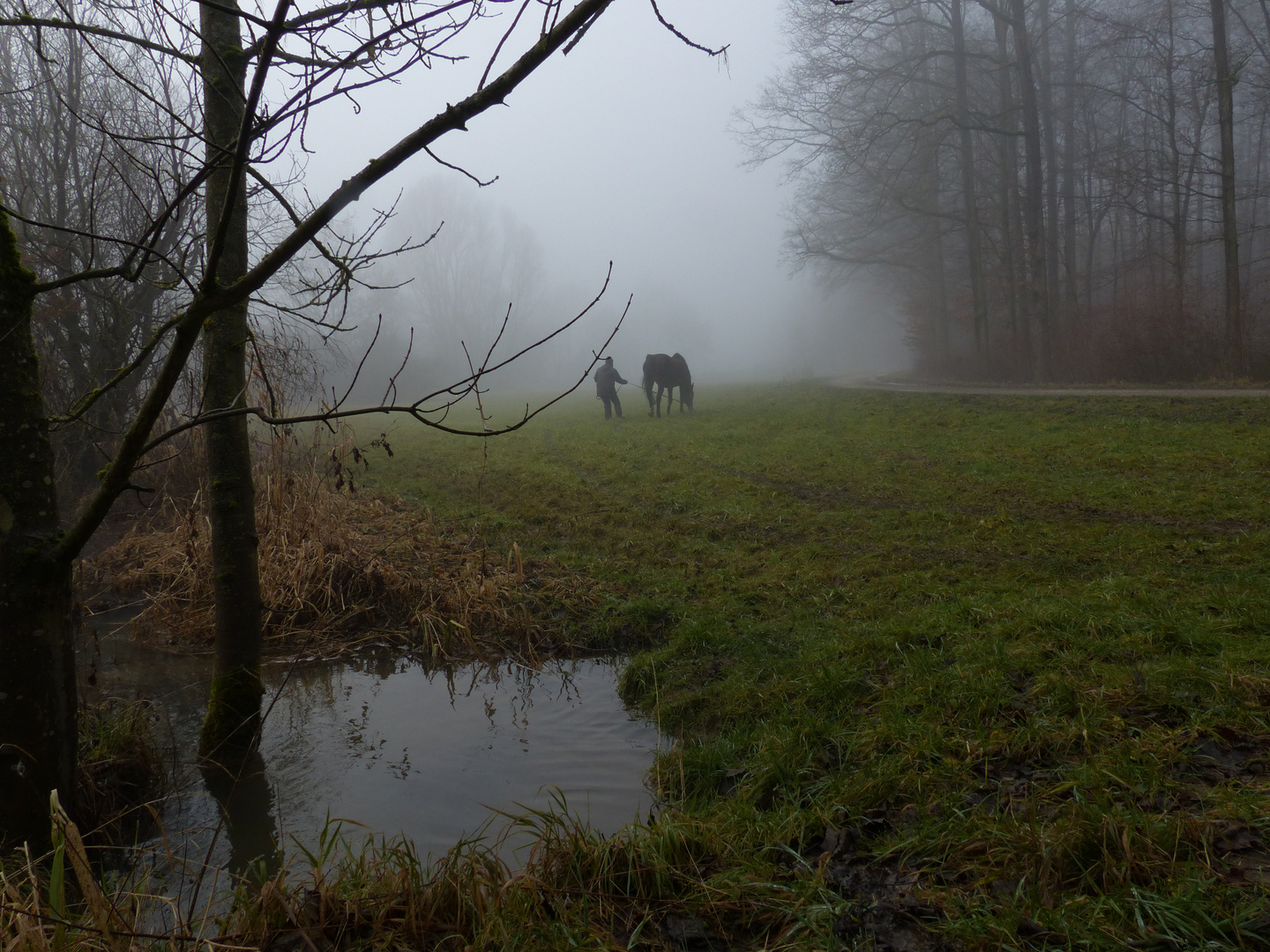 Ganz früh morgens