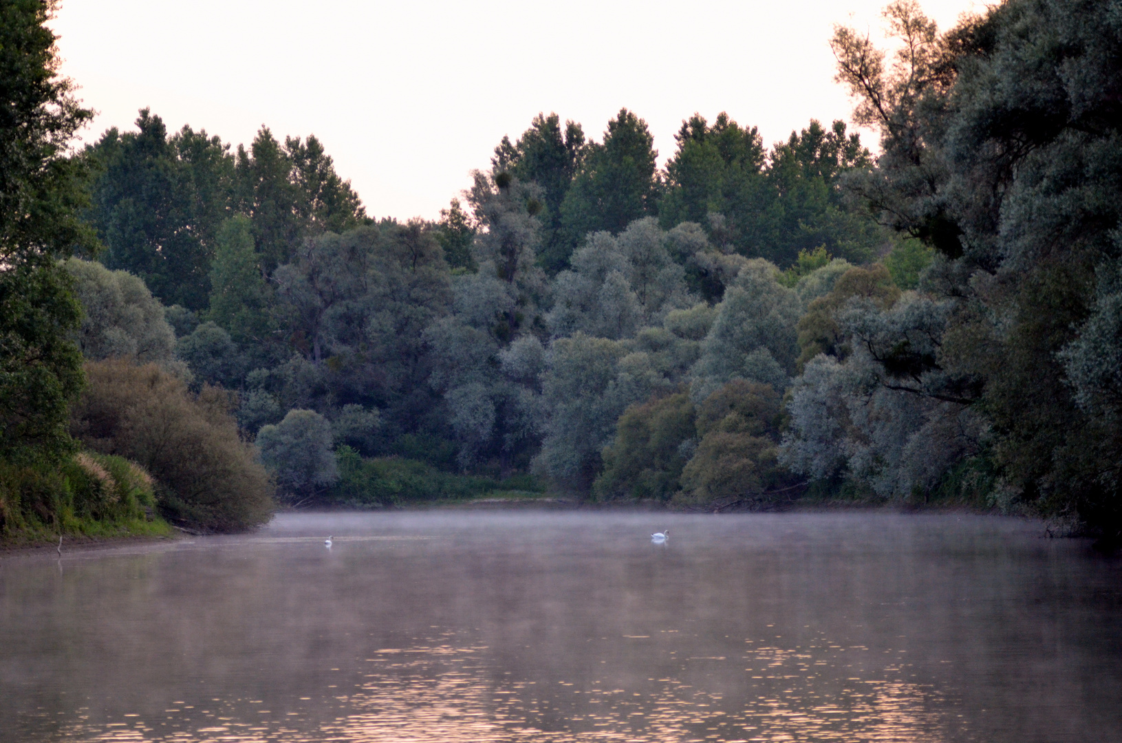 Ganz früh morgens