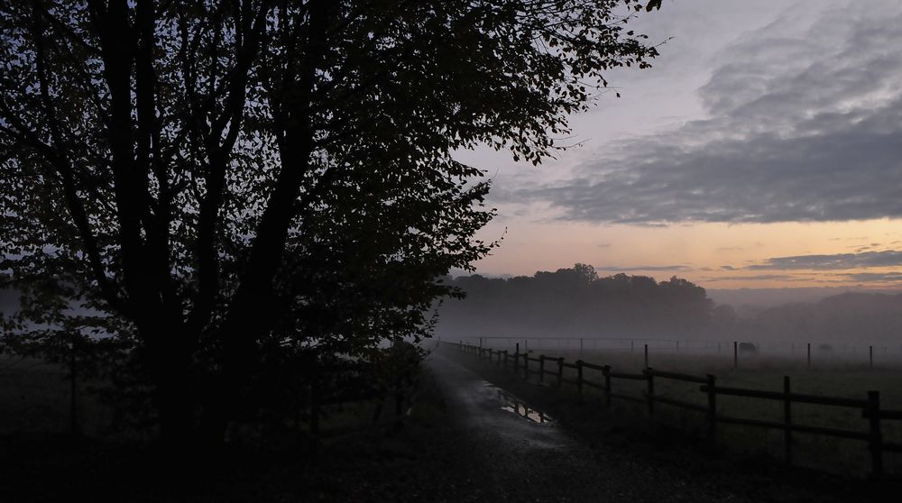 ganz früh morgens