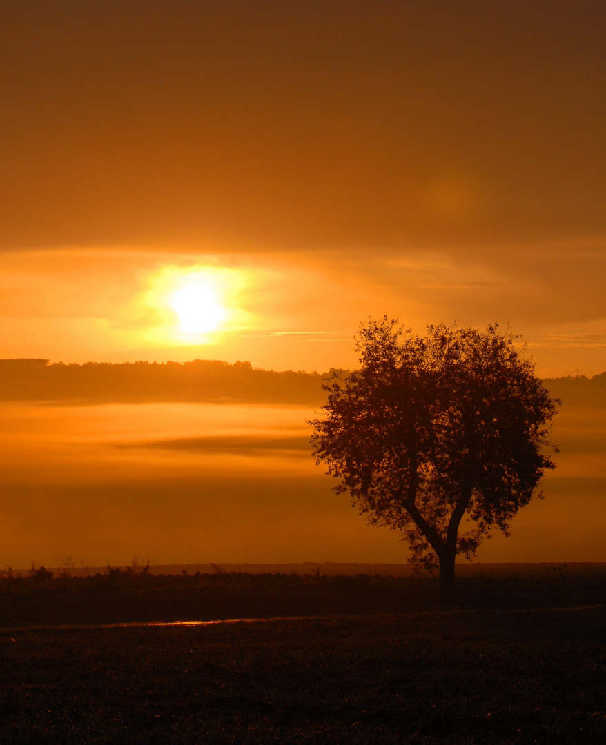 ...ganz früh morgens