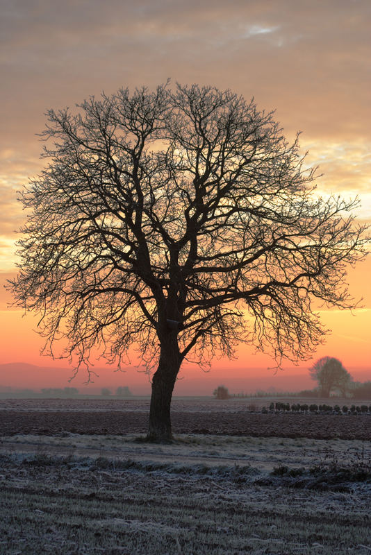 Ganz früh morgens