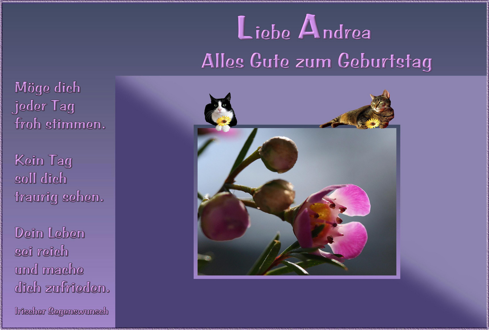 The Best Herzlichen Glückwunsch Zum 25 Geburtstag zitate geburtstag