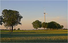 Ganz hinten der Odenwald