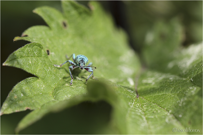 Ganz in Blau