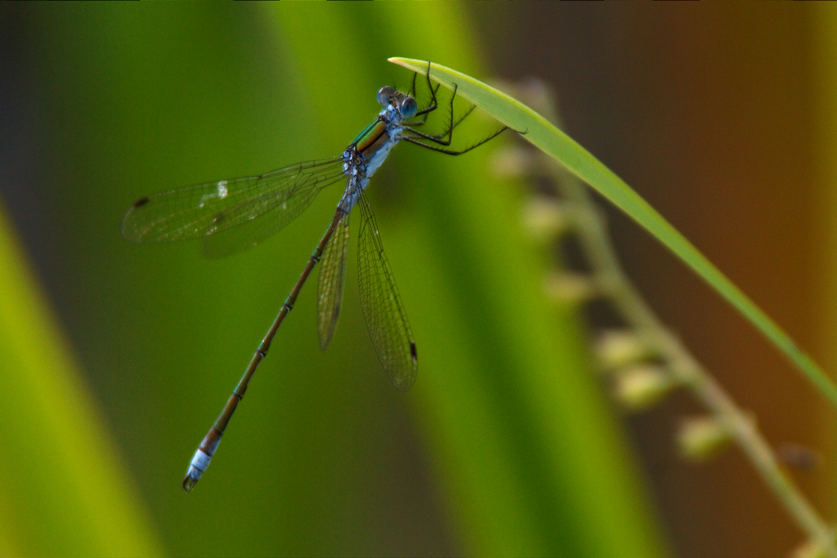 ganz in blau