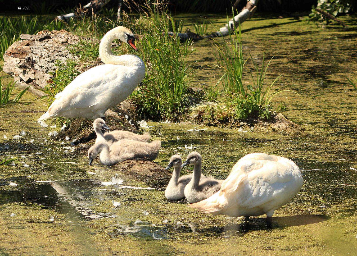 Ganz in Familie