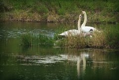 ganz in Familie