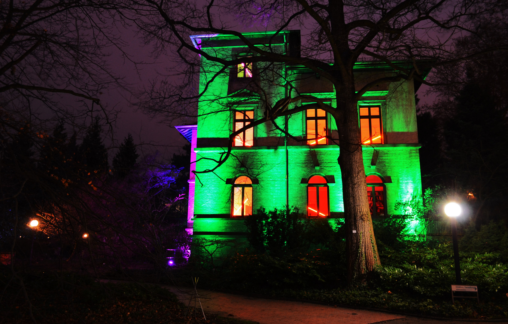 Ganz in Grün - Winterlichter