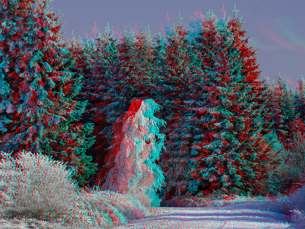 Ganz in weiß (3D-Bild mit Rot/Cyan-Brille betrachten)