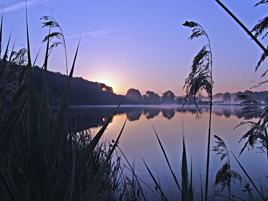 Ganz junger Morgen am See