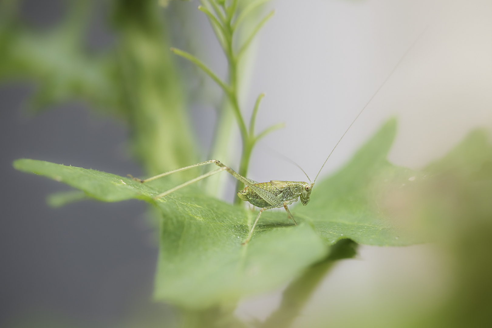 ganz klein Foto & Bild | licht, natur, privat Bilder auf fotocommunity