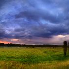 ganz kreativer Bildtitel:Rheinauen-Panorama