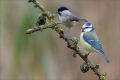ganz kurze Gemeinsamkeit :-)