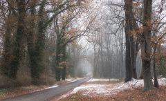 ganz leichter Schneefall ...