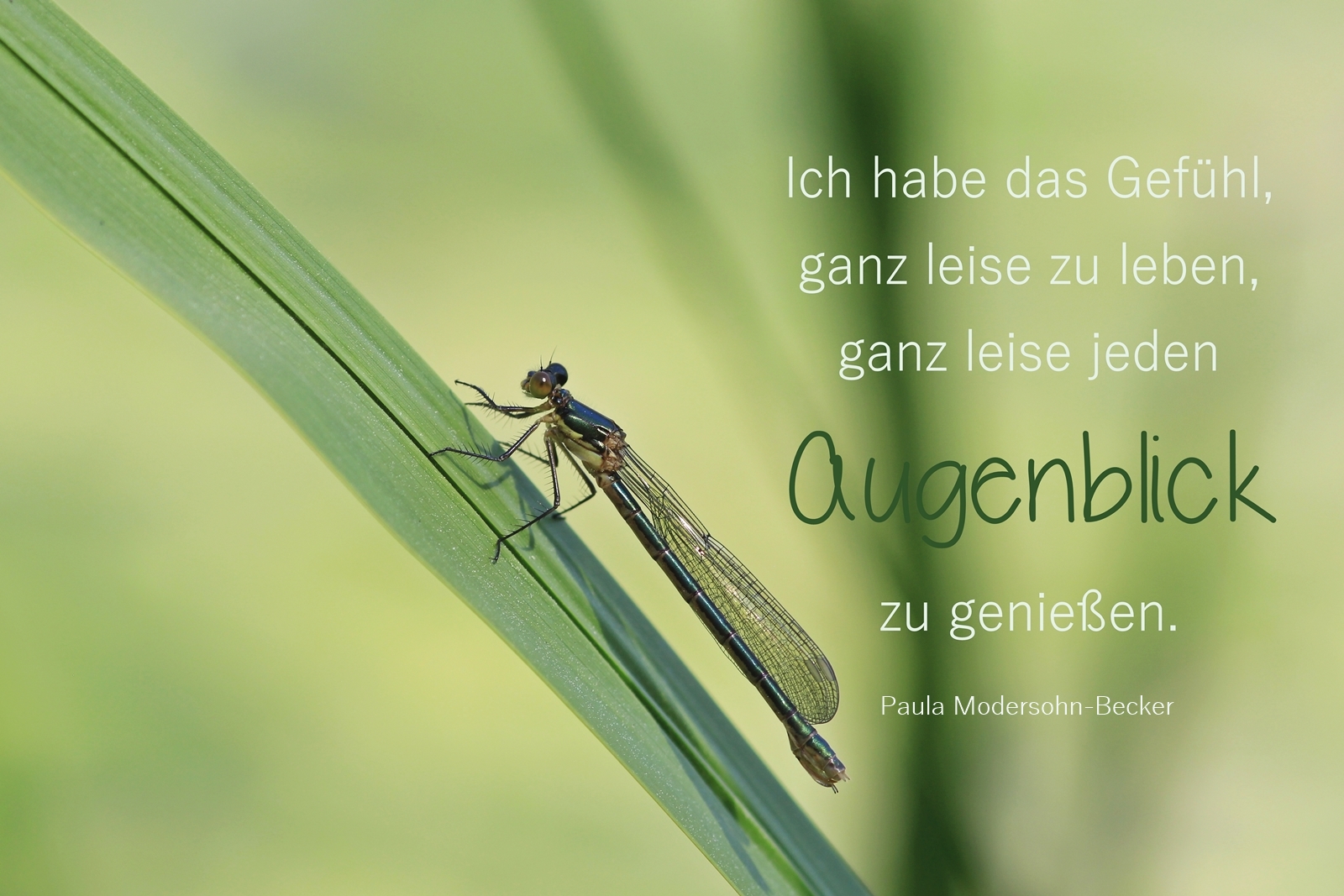 Ganz leise...