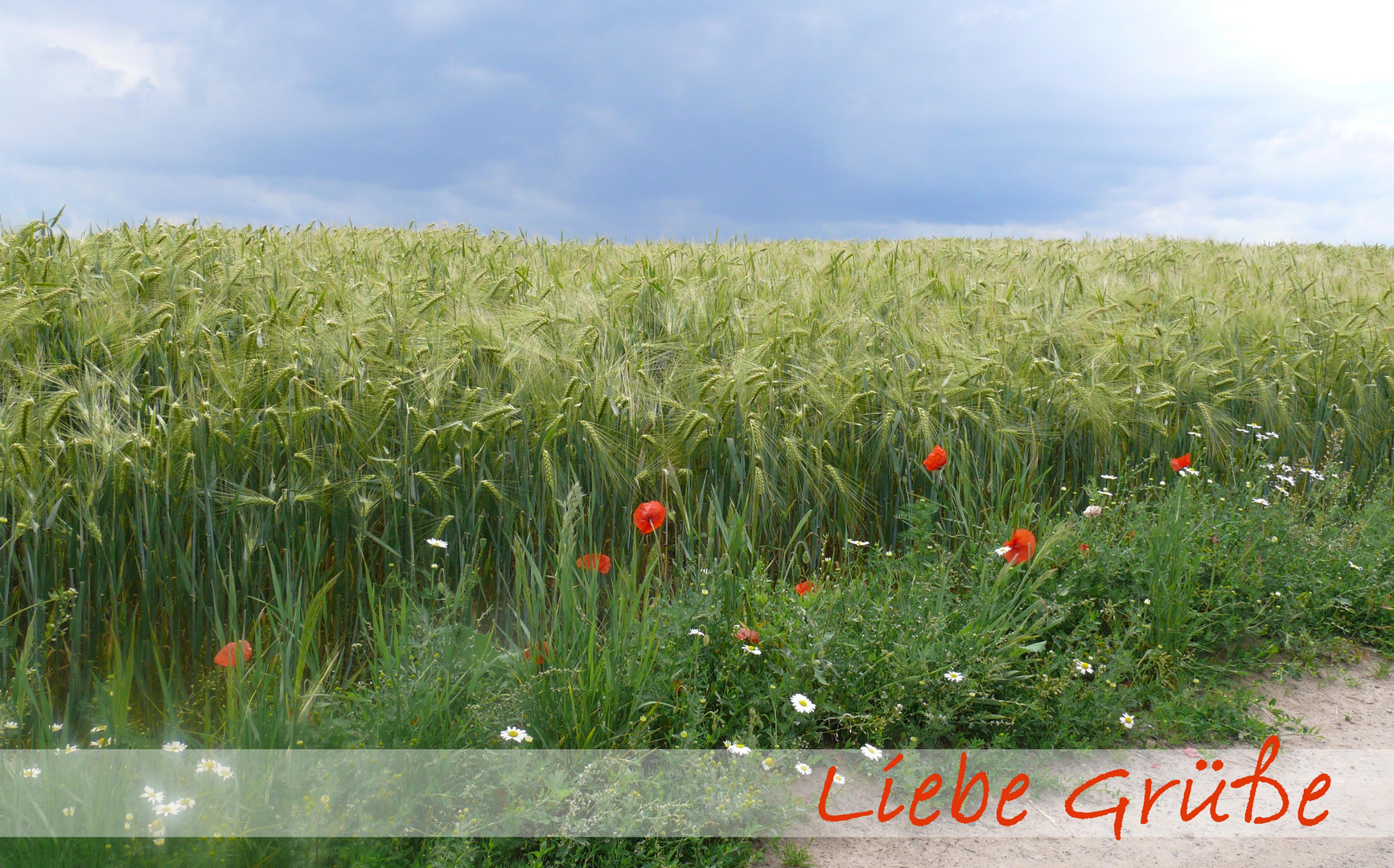 Ganz liebe Grüße an Euch alle