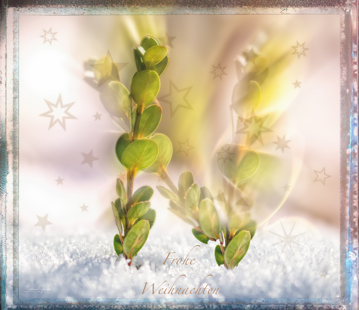 Ganz liebe Weihnachtsgrüße Foto & Bild techniken, doppelt und