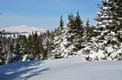 Ganz nahe schaut der Zirbitzkogel von den Seetaler Alpen zu mir. von Kosche Günther 