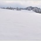 Ganz oben, im Haus direkt am Waldrand