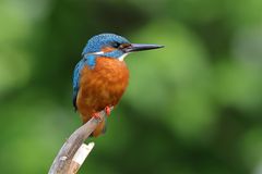 Ganz oben sitzt man am besten ;-)