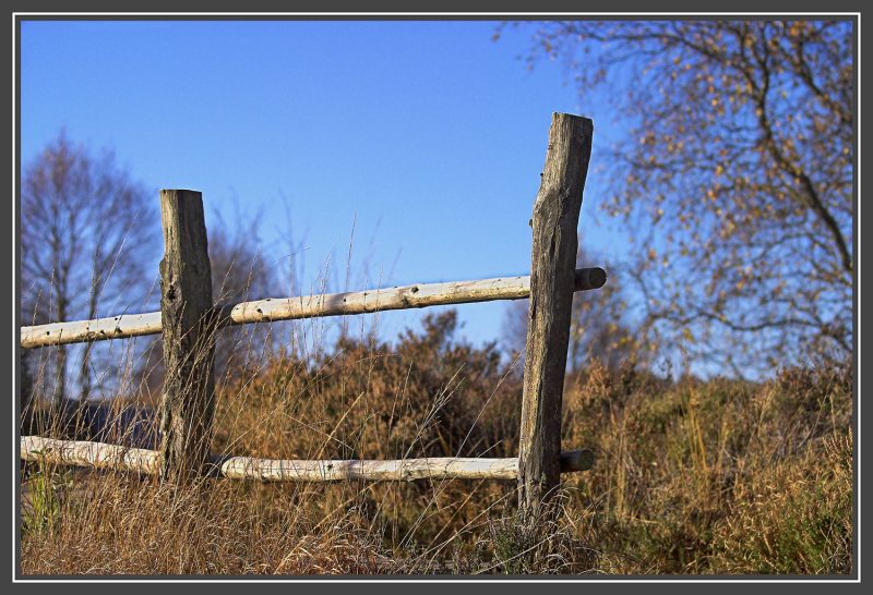 ... ganz ohne Grenzen.... (03851)