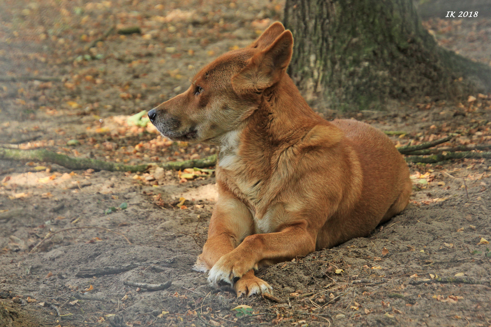 ganz relax....