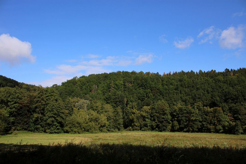 ganz sachte kommt der Herbst