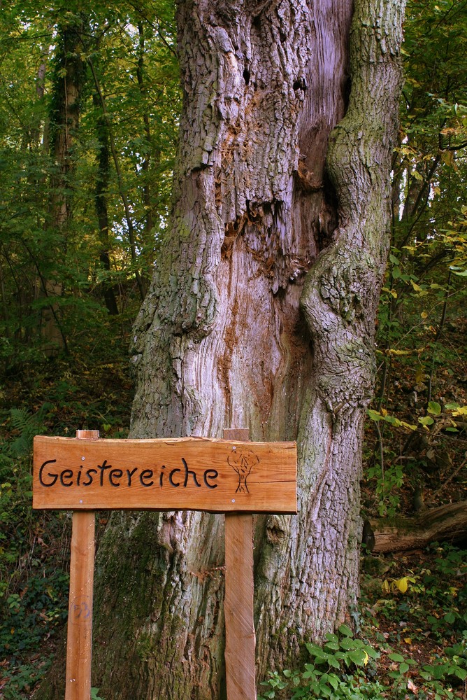 Ganz schön alt