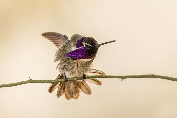 Ganz schön auf groß…