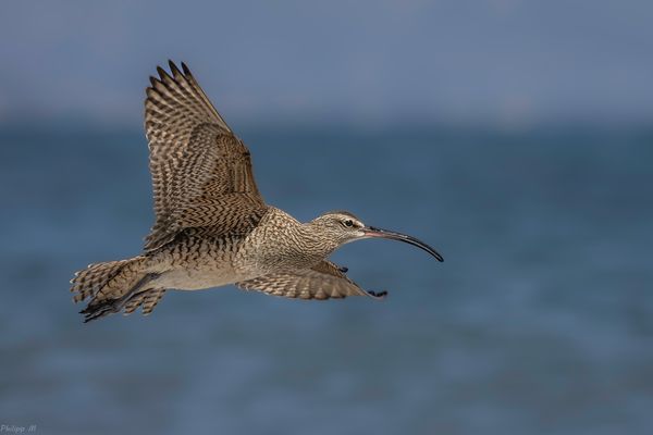 Ganz schön auf Zack…