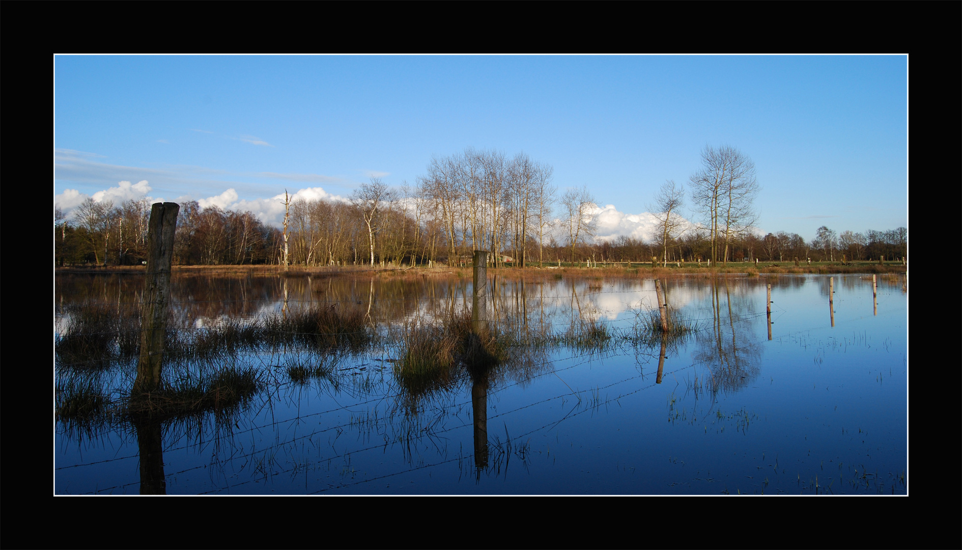 Ganz schön blau!