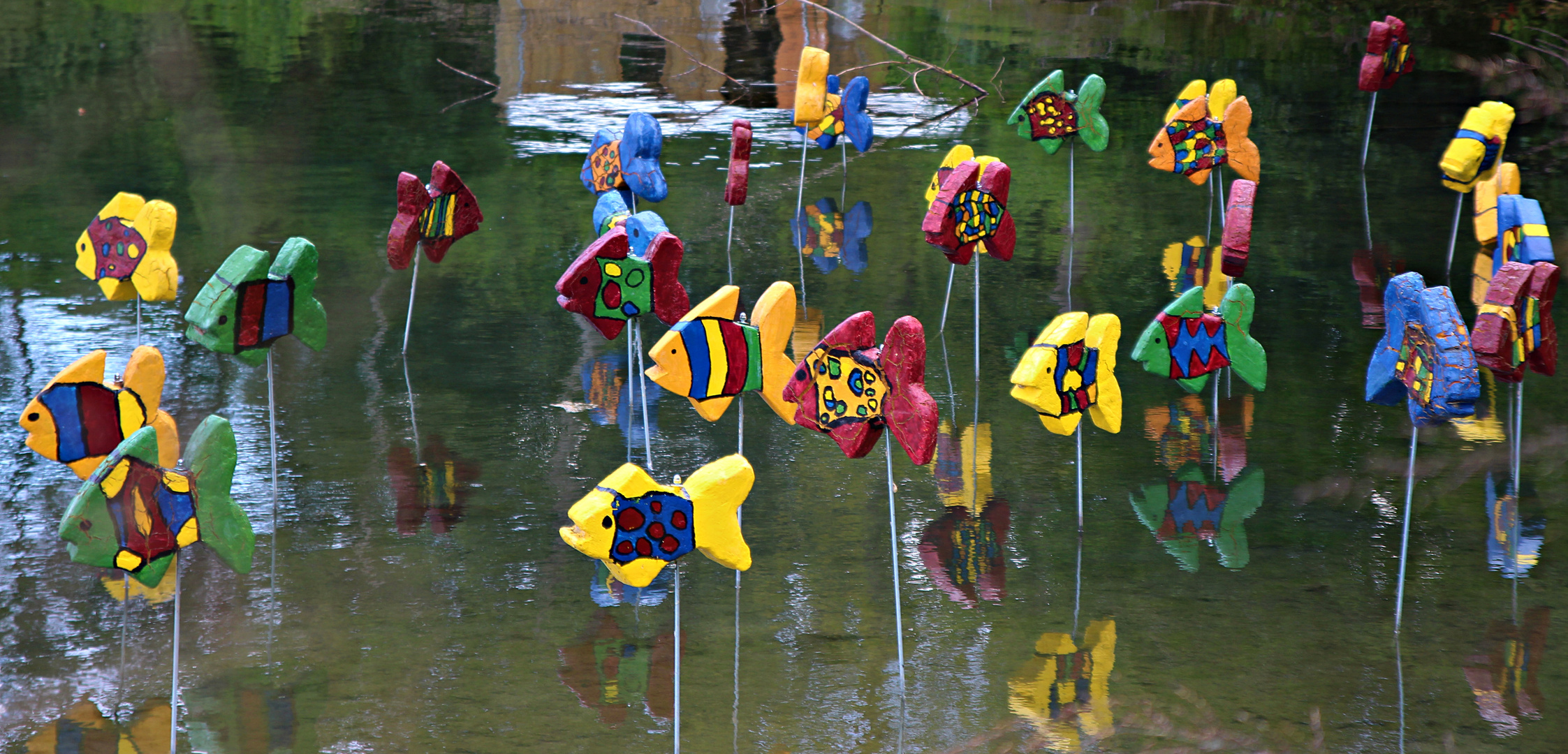 Ganz schön bunt im Teich